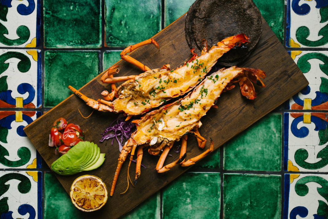 Holbox Los Angeles: The Ultimate Travel Guide for 2025