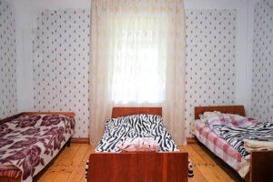 Top 8 Animal Blanket Designs for Cosy Home Décor