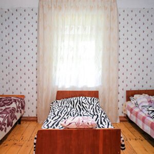 Top 8 Animal Blanket Designs for Cosy Home Décor