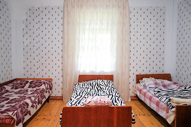 Top 8 Animal Blanket Designs for Cosy Home Décor