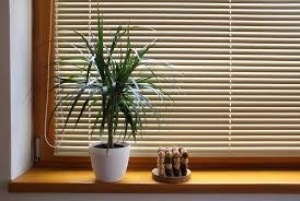 Venetian Blinds Dubai: A Complete Guide to Stylish, Functional Window Coverings