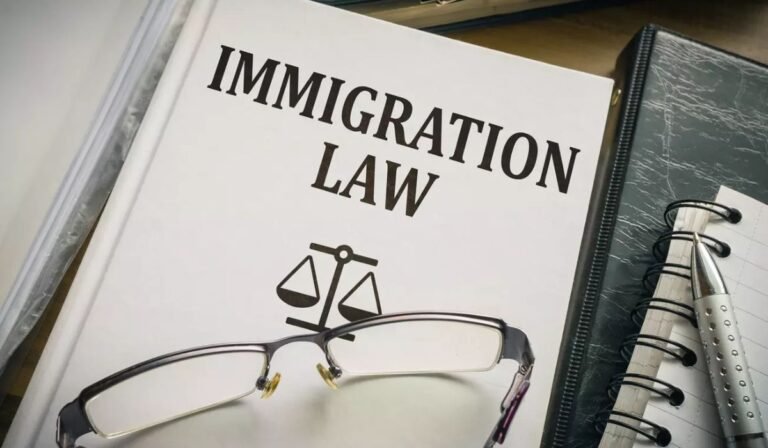 Immigration Lawyers Responsibilities in Client Case Preparation