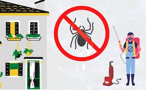 Trusted Spiders Control Canada for Safe Pest Free Homes