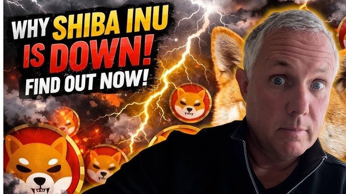 Why is Shiba Inu Going Down Today? Clear Reasons, Market Signals, and Practical Investor Guidance